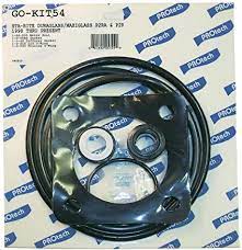 GO-KIT54 Repair Kit Sta-Rite - PUMP SEAL KITS & ACCESSORIES